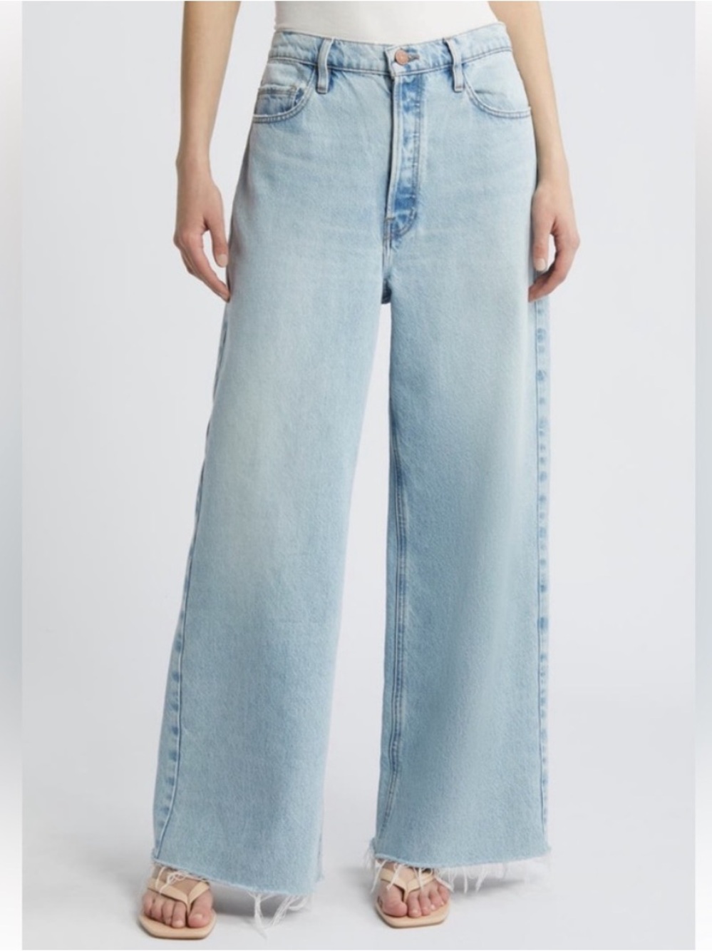 Frame Le Low Baggy Wide Leg Jean (Indigo Fizz)